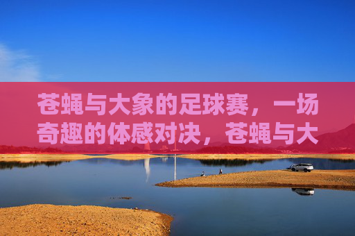 苍蝇与大象的足球赛,一场奇趣的体感对决,苍蝇与大象的足球赛,一场奇趣的体感对决