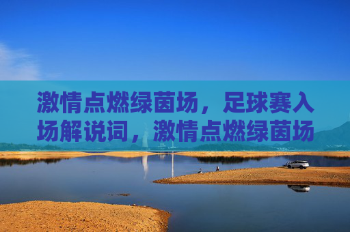 激情点燃绿茵场，足球赛入场解说词，激情点燃绿茵场，足球赛入场解说词