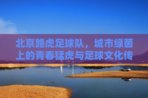 北京路虎足球队，城市绿茵上的青春猛虎与足球文化传承，北京路虎足球队，城市绿茵上的青春猛虎与足球文化传承