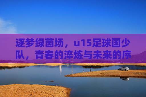 逐梦绿茵场,u15足球国少队,青春的淬炼与未来的序章,逐梦绿茵场,u15足球国少队的青春淬炼与未来序章