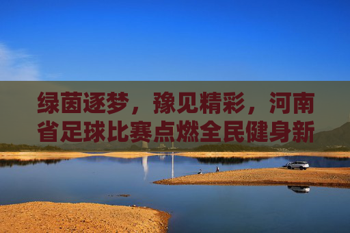 绿茵逐梦，豫见精彩，河南省足球比赛点燃全民健身新热潮，绿茵逐梦，豫见精彩，河南省足球比赛点燃全民健身新热潮
