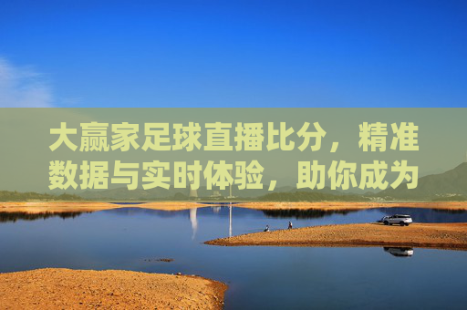 大赢家足球直播比分，精准数据与实时体验，助你成为足球观赛大赢家，大赢家足球直播比分，精准数据与实时体验，助你成为足球观赛大赢家