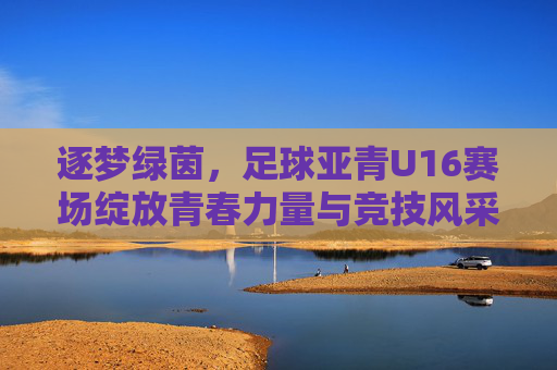 逐梦绿茵，足球亚青U16赛场绽放青春力量与竞技风采，逐梦绿茵，足球亚青U16赛场绽放青春力量与竞技风采