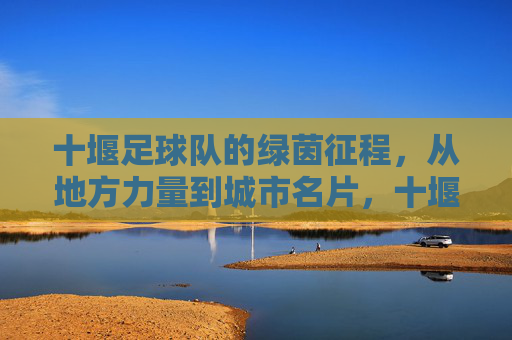 十堰足球队的绿茵征程,从地方力量到城市名片,十堰足球队,从地方力量到城市名片的绿茵征程