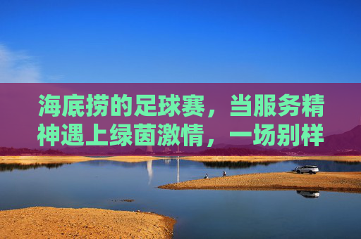 海底捞的足球赛,当服务精神遇上绿茵激情,一场别样的团队盛宴,海底捞的足球赛,服务精神与绿茵激情碰撞的别样团队盛宴