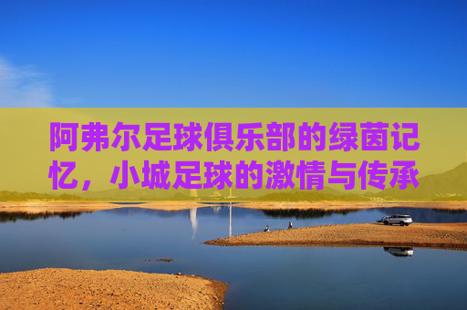 阿弗尔足球俱乐部的绿茵记忆,小城足球的激情与传承,阿弗尔足球俱乐部的绿茵记忆,小城足球的激情与传承