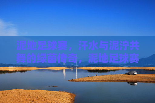 泥地足球赛,汗水与泥泞共舞的绿茵传奇,泥地足球赛,汗水与泥泞共舞的绿茵传奇