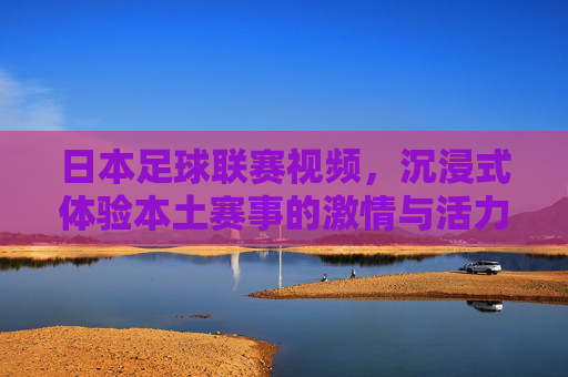 日本足球联赛视频,沉浸式体验本土赛事的激情与活力,日本足球联赛视频,沉浸式感受本土赛事的激情与活力