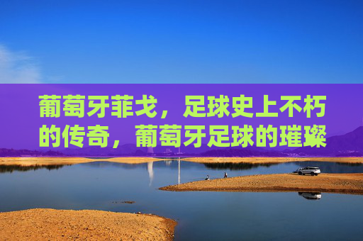 葡萄牙菲戈,足球史上不朽的传奇,葡萄牙足球的璀璨明珠,葡萄牙菲戈,足球史上不朽的传奇,葡萄牙足球的璀璨明珠