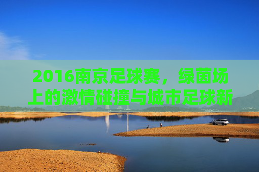 2016南京足球赛，绿茵场上的激情碰撞与城市足球新篇，2016南京足球赛，绿茵激情碰撞，书写城市足球新篇