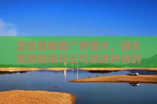 足球直播看广州恒大，绿衣军团赛场风云与球迷热情的共振，足球直播看广州恒大，绿衣军团赛场风云与球迷热情的共振