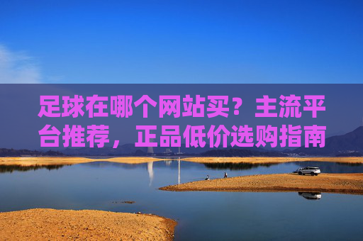 足球在哪个网站买？主流平台推荐，正品低价选购指南，足球购买网站推荐，主流平台与正品低价选购指南