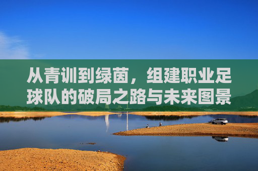 从青训到绿茵，组建职业足球队的破局之路与未来图景，从青训到绿茵，职业足球队破局之路与未来图景