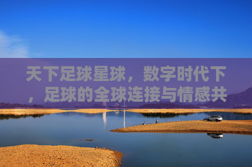 天下足球星球,数字时代下,足球的全球连接与情感共鸣,天下足球星球,数字时代下的全球连接与情感共鸣