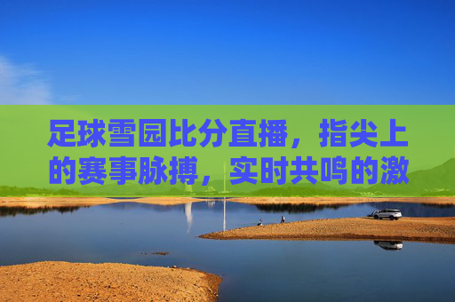 足球雪园比分直播,指尖上的赛事脉搏,实时共鸣的激情引擎,足球雪园比分直播,指尖上的赛事脉搏,实时共鸣的激情引擎