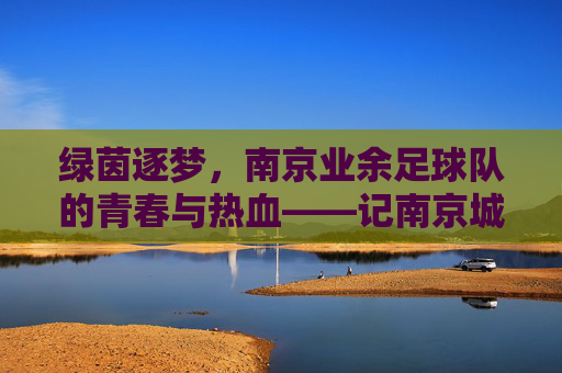 绿茵逐梦，南京业余足球队的青春与热血——记南京城市之光业余足球队，绿茵逐梦，南京业余足球队的青春与热血——记南京城市之光业余足球队