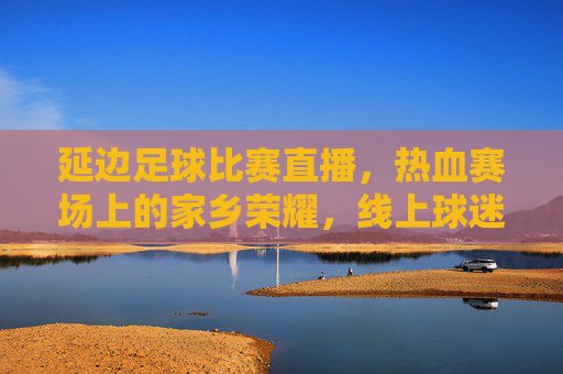 延边足球比赛直播,热血赛场上的家乡荣耀,线上球迷的激情共鸣,延边足球比赛直播,热血赛场上的家乡荣耀,线上球迷的激情共鸣