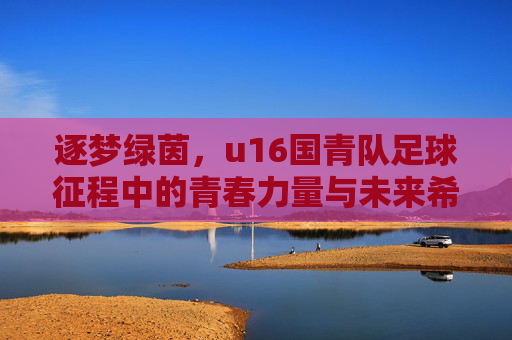 逐梦绿茵，u16国青队足球征程中的青春力量与未来希望，逐梦绿茵，u16国青队足球征程中的青春力量与未来希望