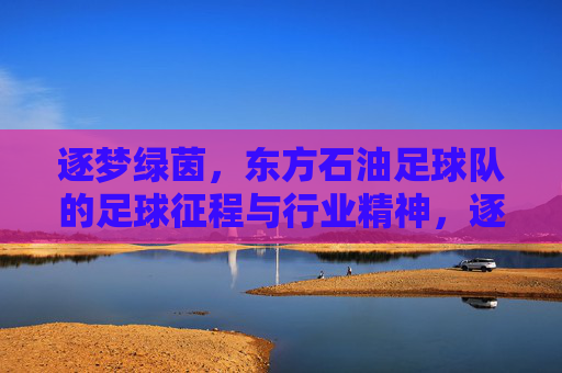 逐梦绿茵，东方石油足球队的足球征程与行业精神，逐梦绿茵，东方石油足球队的足球征程与行业精神