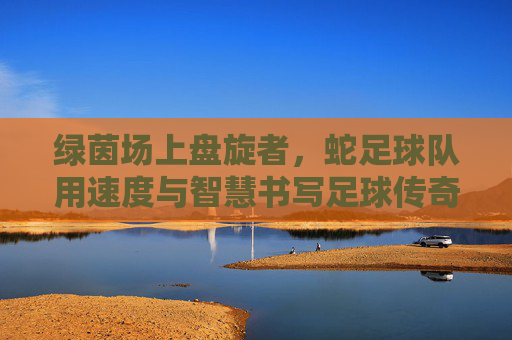 绿茵场上盘旋者，蛇足球队用速度与智慧书写足球传奇，绿茵场上盘旋者，蛇足球队用速度与智慧书写足球传奇