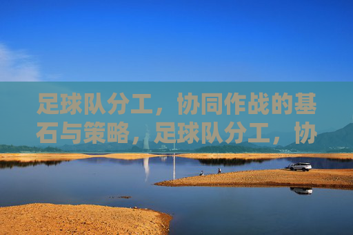 足球队分工,协同作战的基石与策略,足球队分工,协同作战的基石与策略