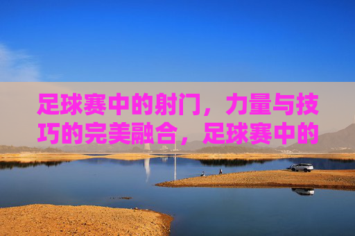 足球赛中的射门,力量与技巧的完美融合,足球赛中的射门,力量与技巧的完美融合