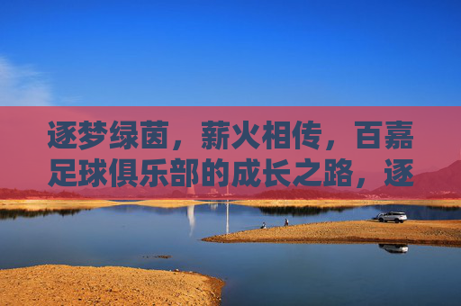 逐梦绿茵,薪火相传,百嘉足球俱乐部的成长之路,逐梦绿茵,薪火相传,百嘉足球俱乐部的成长之路