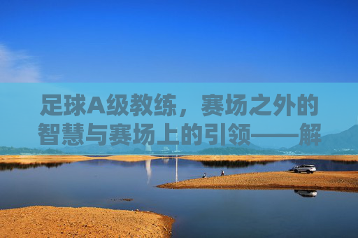 足球A级教练,赛场之外的智慧与赛场上的引领——解码顶级执教者的专业维度,足球A级教练,赛场之外的智慧与赛场上的引领——解码顶级执教者的专业维度