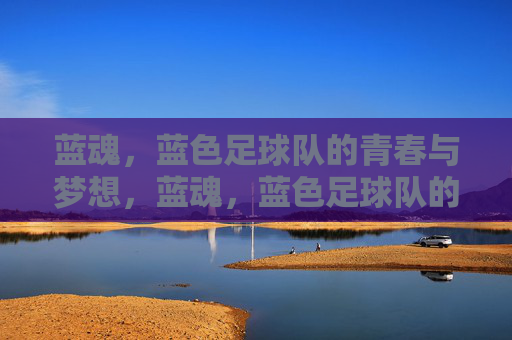 蓝魂，蓝色足球队的青春与梦想，蓝魂，蓝色足球队的青春与梦想