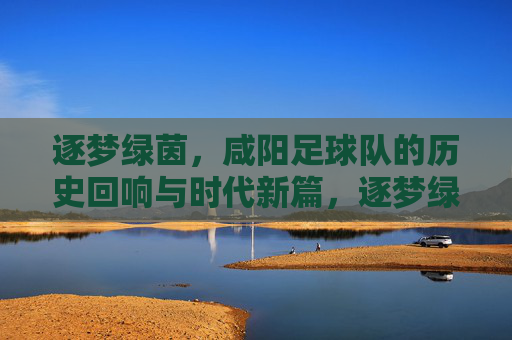 逐梦绿茵，咸阳足球队的历史回响与时代新篇，逐梦绿茵，咸阳足球队的历史回响与时代新篇