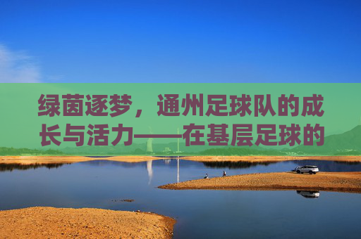 绿茵逐梦,通州足球队的成长与活力——在基层足球的土壤中绽放青春,绿茵逐梦,通州足球队的成长与活力——在基层足球的土壤中绽放青春