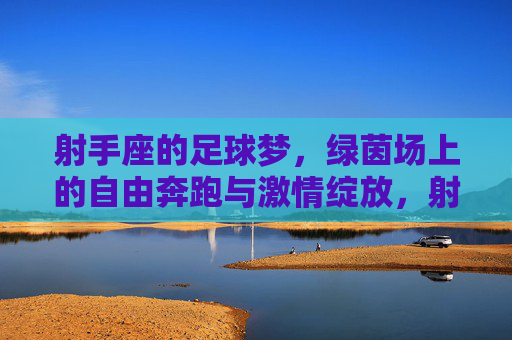 射手座的足球梦,绿茵场上的自由奔跑与激情绽放,射手座的足球梦,绿茵场上的自由奔跑与激情绽放