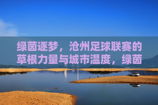 绿茵逐梦，沧州足球联赛的草根力量与城市温度，绿茵逐梦，沧州足球联赛的草根力量与城市温度