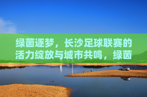 绿茵逐梦，长沙足球联赛的活力绽放与城市共鸣，绿茵逐梦，长沙足球联赛的活力绽放与城市共鸣