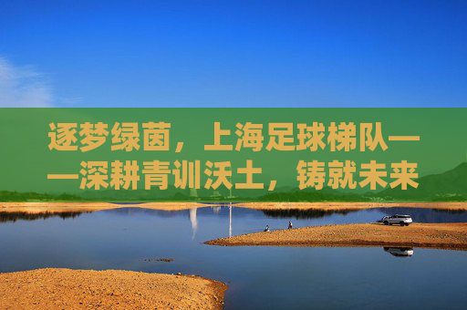 逐梦绿茵,上海足球梯队——深耕青训沃土,铸就未来希望