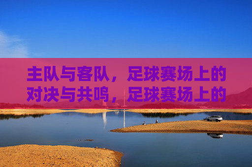 主队与客队,足球赛场上的对决与共鸣,足球赛场上的主客对决,共鸣与激情