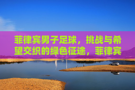 菲律宾男子足球，挑战与希望交织的绿色征途，菲律宾男子足球，挑战与希望交织的绿色征途
