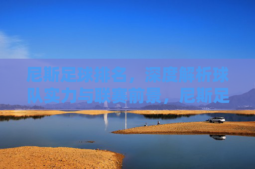 尼斯足球排名,深度解析球队实力与联赛前景,尼斯足球排名,深度解析球队实力与联赛前景