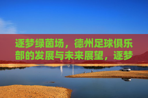 逐梦绿茵场,德州足球俱乐部的发展与未来展望,逐梦绿茵场,德州足球俱乐部的发展与未来展望