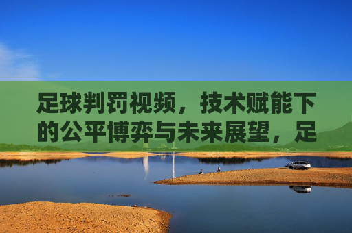 足球判罚视频，技术赋能下的公平博弈与未来展望，足球判罚视频，技术赋能下的公平博弈与未来展望