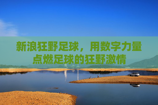 新浪狂野足球,用数字力量点燃足球的狂野激情