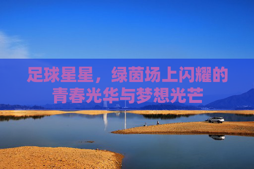 足球星星，绿茵场上闪耀的青春光华与梦想光芒
