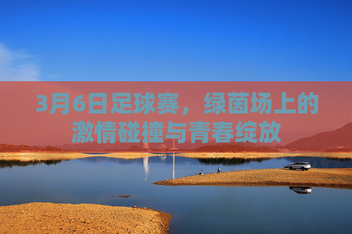 3月6日足球赛，绿茵场上的激情碰撞与青春绽放