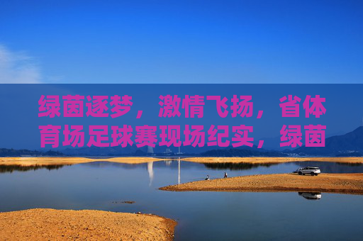 绿茵逐梦,激情飞扬,省体育场足球赛现场纪实,绿茵逐梦,激情飞扬,省体育场足球赛现场纪实