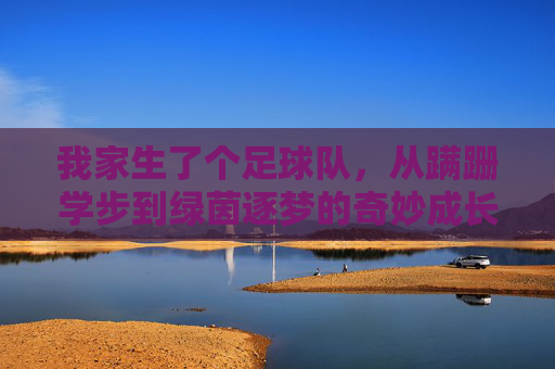 我家生了个足球队,从蹒跚学步到绿茵逐梦的奇妙成长,我家生了个足球队,从蹒跚学步到绿茵逐梦的奇妙成长