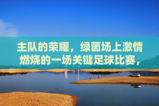 主队的荣耀，绿茵场上激情燃烧的一场关键足球比赛，主队荣耀燃情绿茵，一场关键足球比赛的激情对决