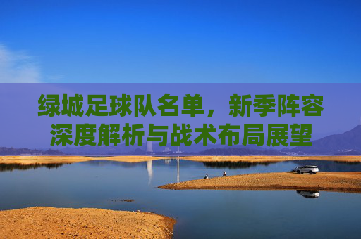绿城足球队名单,新季阵容深度解析与战术布局展望