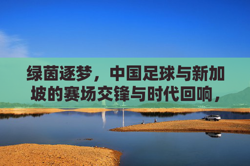 绿茵逐梦，中国足球与新加坡的赛场交锋与时代回响，绿茵逐梦，中国足球与新加坡的赛场交锋与时代回响