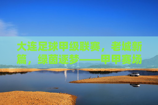 大连足球甲级联赛,老城新篇,绿茵逐梦——甲甲赛场上的城市足球活力与传承,大连足球甲级联赛,老城新篇,绿茵逐梦——甲甲赛场上的城市足球活力与传承