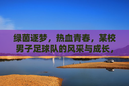 绿茵逐梦,热血青春,某校男子足球队的风采与成长,绿茵逐梦,热血青春,某校男子足球队的风采与成长